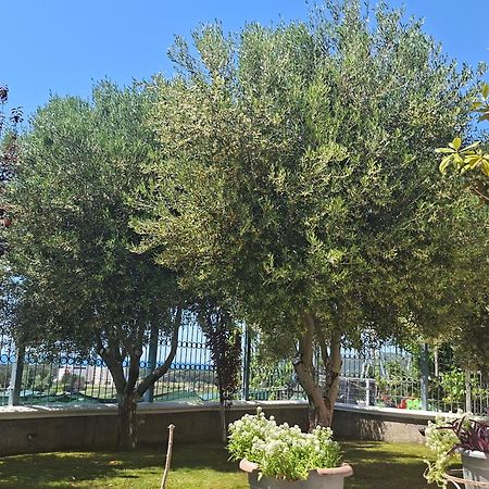 Villa Luiss Panorama Дуррес Екстер'єр фото