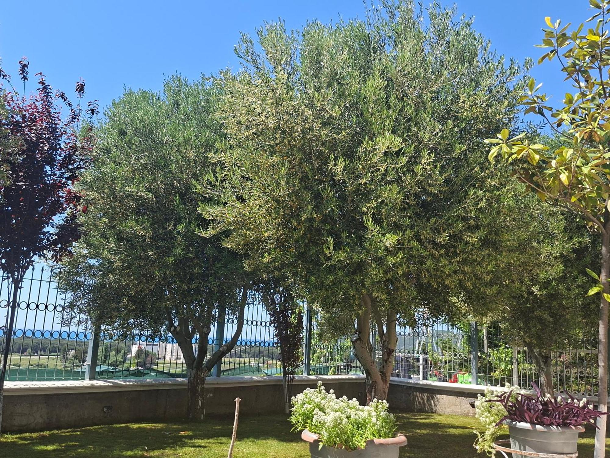 Villa Luiss Panorama Дуррес Екстер'єр фото